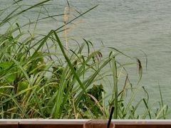 -精酿农场Brew Farm·沙漠绿洲餐厅