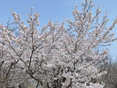 -江苏三台山国家森林公园