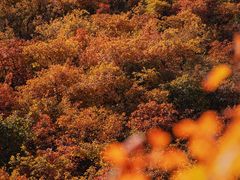 -周口店坡峰岭风景区
