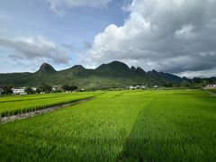 -万峰林风景区