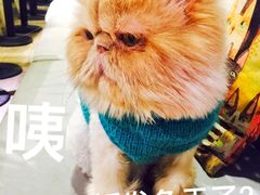 -小时光咖啡馆(开森度假森林店)