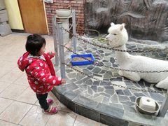 -上海大自然野生昆虫馆(东方明珠·爬宠昆虫探索中心)