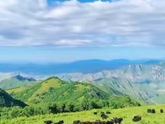 -灵山