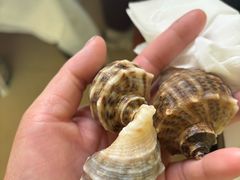 -宾朋海鲜特色美食餐厅·纯手工鲅鱼水饺(兴海路店)