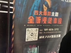 -Mr.Fox狐狸先生超级密室(南山店)