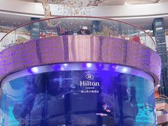 -OPEN開全日自助餐厅·西餐·海鲜(佛山希尔顿酒店)