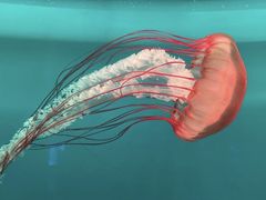 -多彩贵州城极地海洋世界