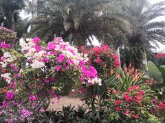 -莲花山公园