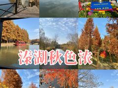 -溱湖国家湿地公园