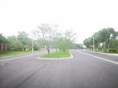 -羊山湖公园