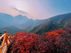 -水峪民俗村