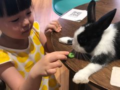 -藦茜花园宠物主题亲子互动体验馆(国顺东路店)