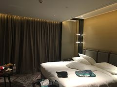 -新加坡瑞士史丹福酒店