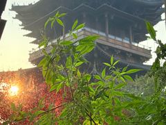 -杭州半山国家森林公园