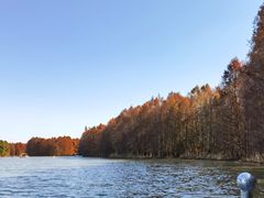 -上海海湾国家森林公园