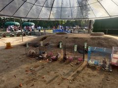 -前小桔亲子创意农场·草莓采摘·露营烧烤