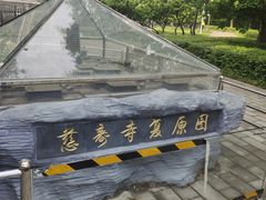 -玲珑塔公园