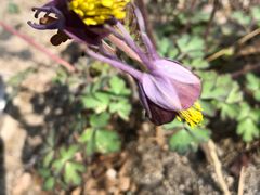 -碓臼峪自然风景区