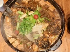 -老板恋上鱼(恒隆广场店)