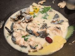-鲜潭蒸汽石锅鱼(五道口购物中心店)
