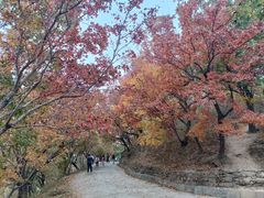 -国家植物园南园