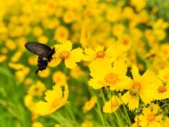 -白塘生态植物园