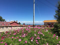 -青海湖国家重点风景名胜区