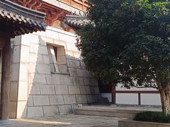 -伯先公园