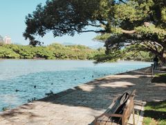 -江心屿景区