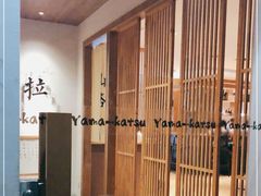 -山杏yama-katsu·吉列炸物