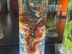 -广东中医药博物馆