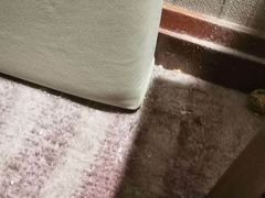 -上海如意智慧酒店(上海科学院店)