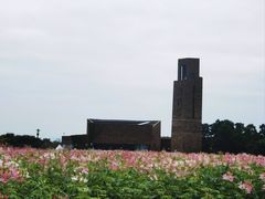 -江苏三台山国家森林公园