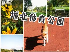 -杭州城北体育公园