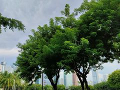 -万绿园