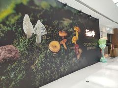-沈阳铁西万象汇