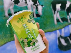 -扬大康源乳业鲜奶吧(大学北路店)