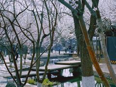 -三里河公园