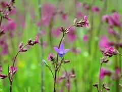 -咸丰县唐崖河景区