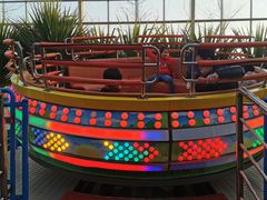 -南宫五洲植物乐园