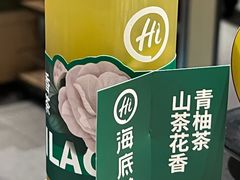 -海底捞火锅(吾悦广场店)