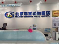 -北京观赏动物医院·24小时大型综合·猫专科·异宠专科
