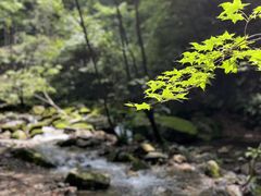 -本溪汤沟绿石谷森林公园
