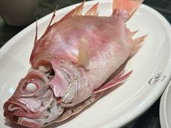 -吴记富苑(朝阳店)