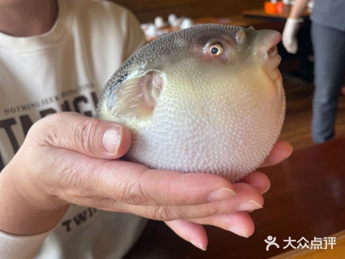 永安鱼庄·镇江菜(三店纬五路店)图片