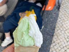 -柠檬车露(卖草地店)