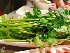 -海底捞火锅(方塔东街店)