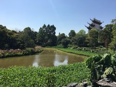 -海珠湖公园