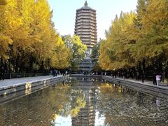 -玲珑塔公园