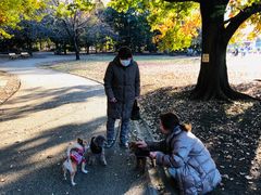 -井之头恩赐公园